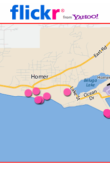 Visit Homer pics on Flickr